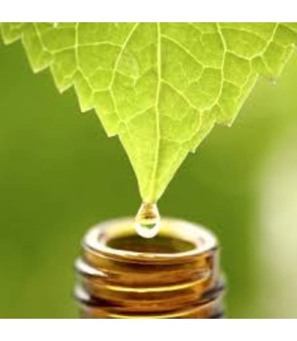 Formación-Taller - Aceites esenciales con Gaia