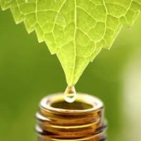 AceitesEsenciales